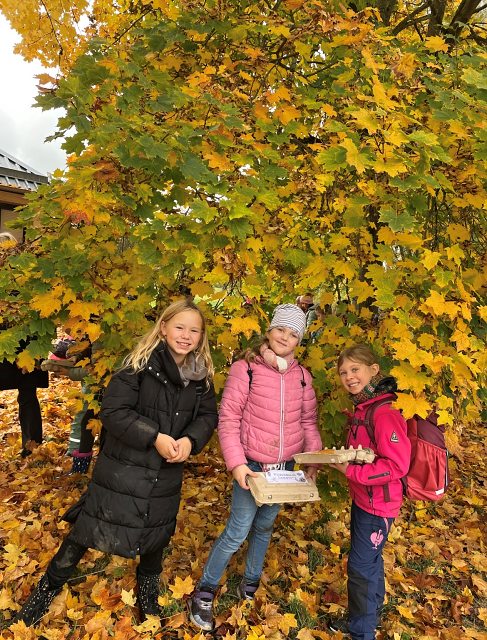 walddetektive08